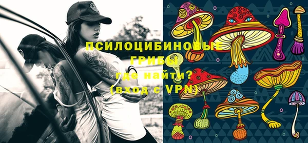 амф Гусиноозёрск