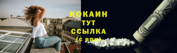 амф Гусиноозёрск