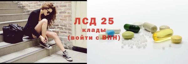 амф Гусиноозёрск