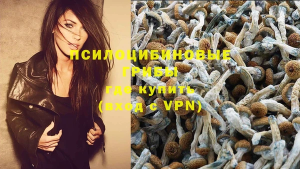 амф Гусиноозёрск