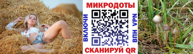 Купить  Люберцы  Галлюциногенные грибы Cubensis 